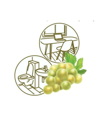 Dolphin GRAPE 750ml - odświeżacz powietrza