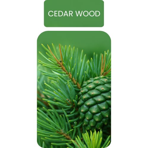Olejek Zapachowy Do Dyfuzora CEDAR WOOD 500ml