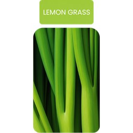 olejek lemongrass