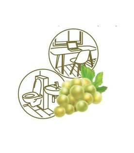 Dolphin GRAPE 750ml - odświeżacz powietrza