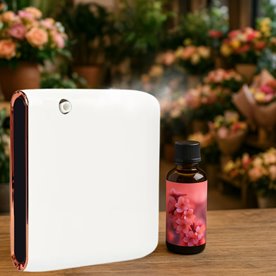 Dyfuzor iFRESH 50