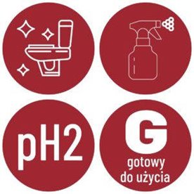 Eco Shine ECO SANIT 1 L - Pianka do mycia łazienki