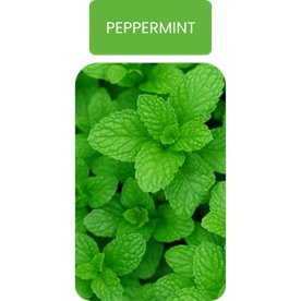 KALA Peppermint olejek do dyfuzora