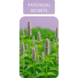 PATCHOULI SECRETS